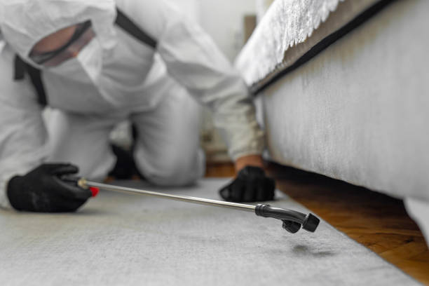 Professional Bed Bug Control technician working in Hampden County County, MA